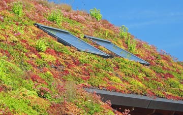 Farleigh Green living roof systems